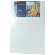 TOILE CANVAS 20X30 DELI